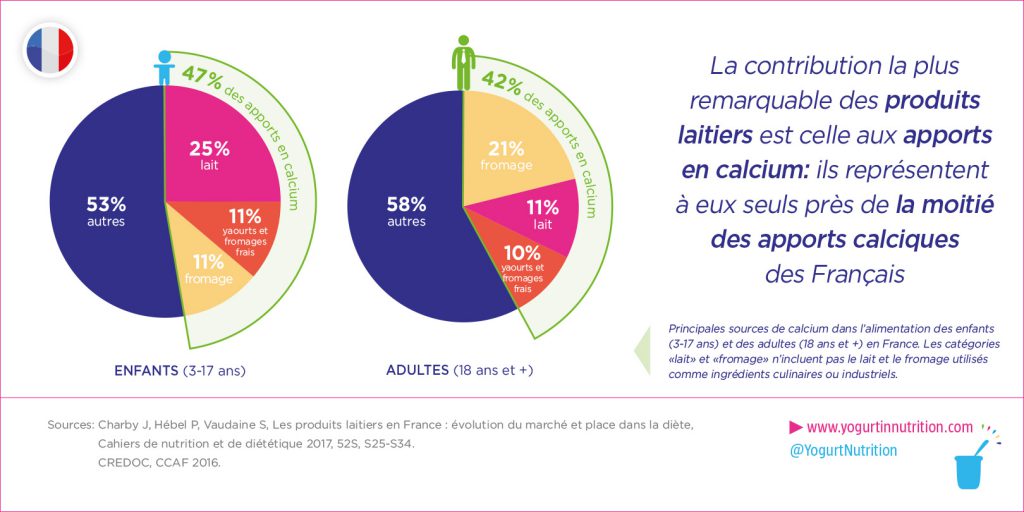 Contribution des produits laitiers aux apports en calcium