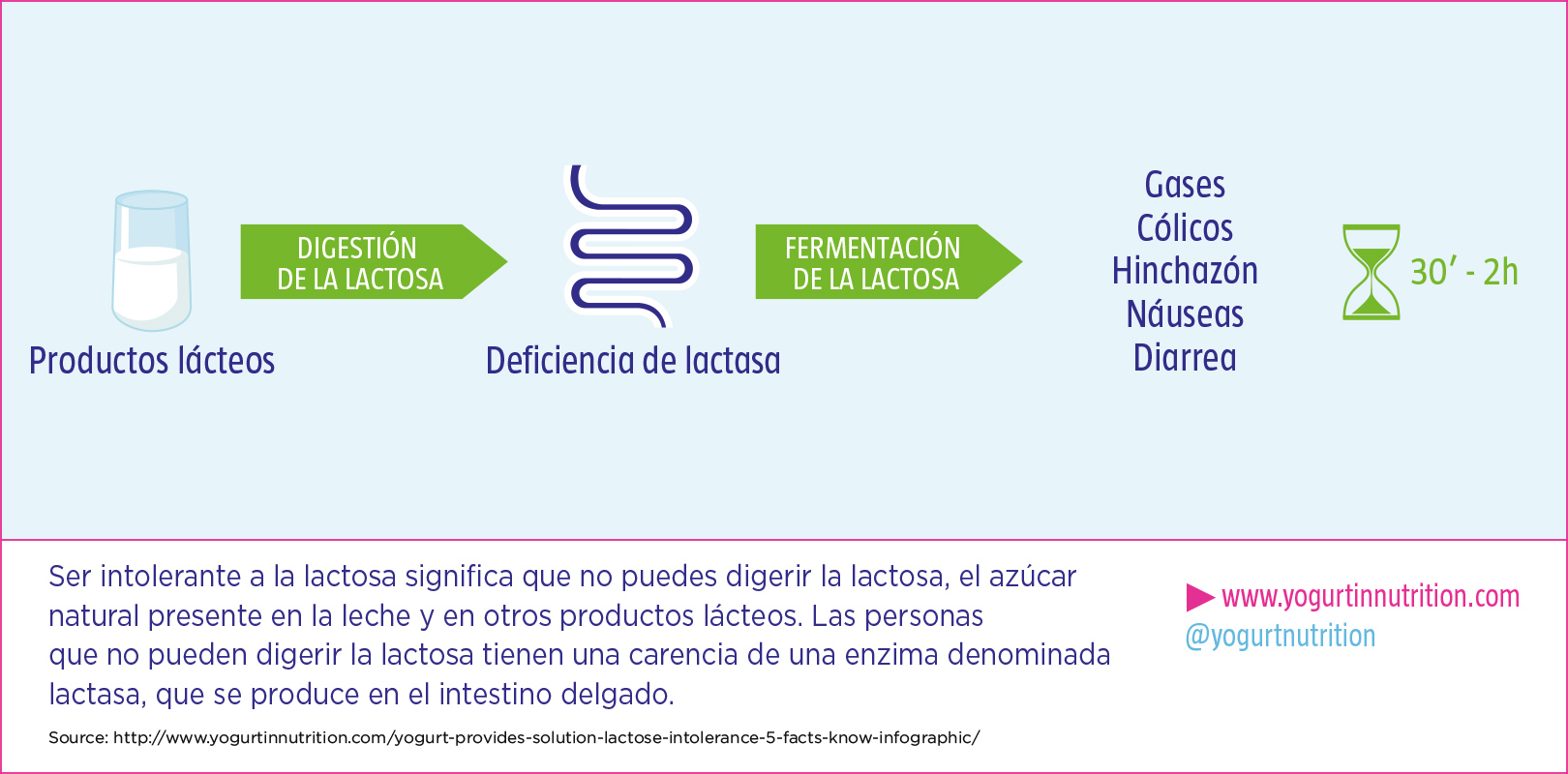 DIGESTIÓN DE LA LACTOSA