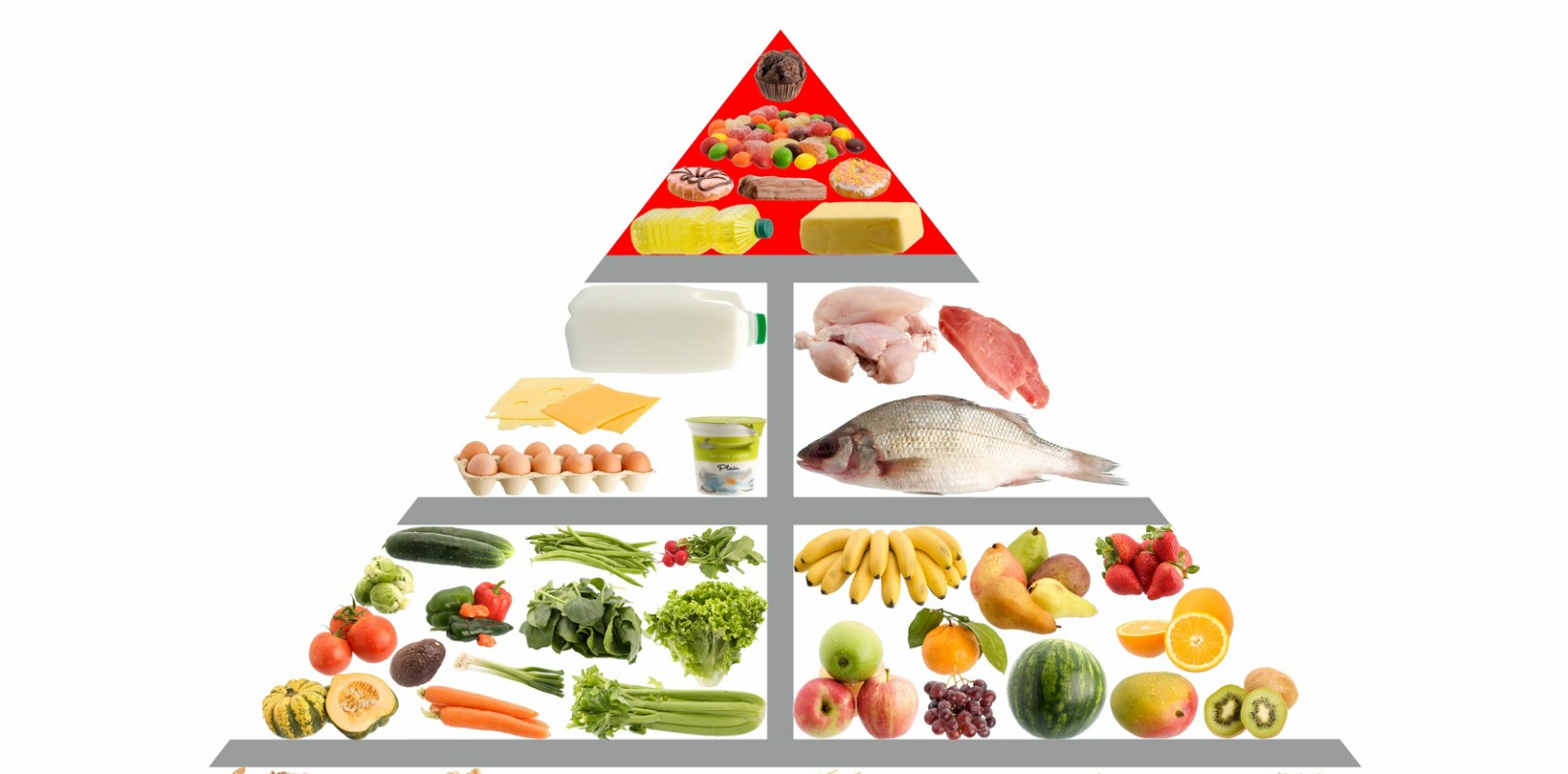 food pyramid