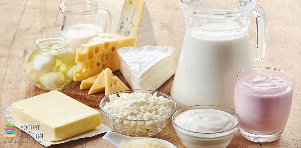 Preventing cardiometabolic disease: new insights into the role of fermented dairy foods