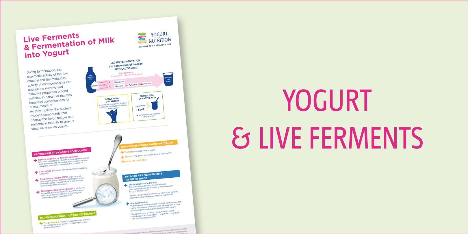 yogurt-live-ferments