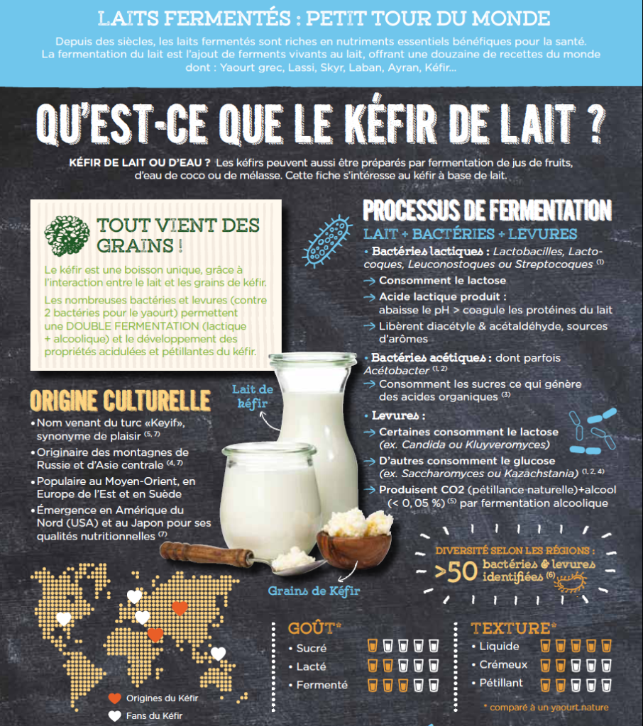 Qu'est-ce-que le kéfir de lait - partie 1