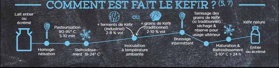 Qu'est-ce-que le kéfir de lait - partie2