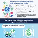 YINI - Infographic - meat reducation - part 1