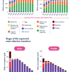 YINI - Infographic - meat reducation - part 4