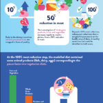 YINI - Infographic - meat reducation - part 5