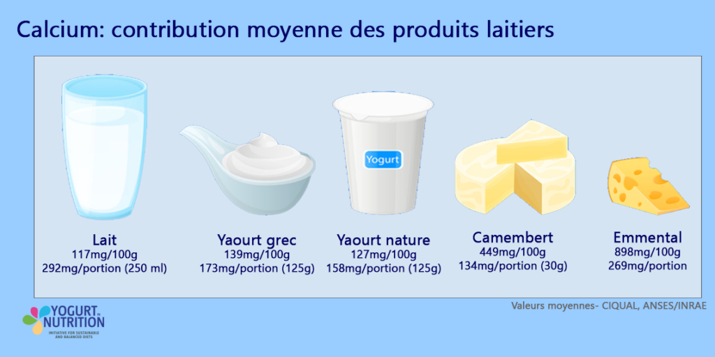 Sources laitieres de calcium - YINI