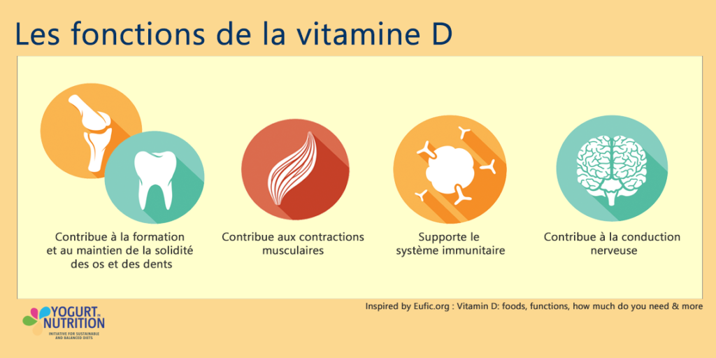 Les fonctions de la vitamine D - YINI