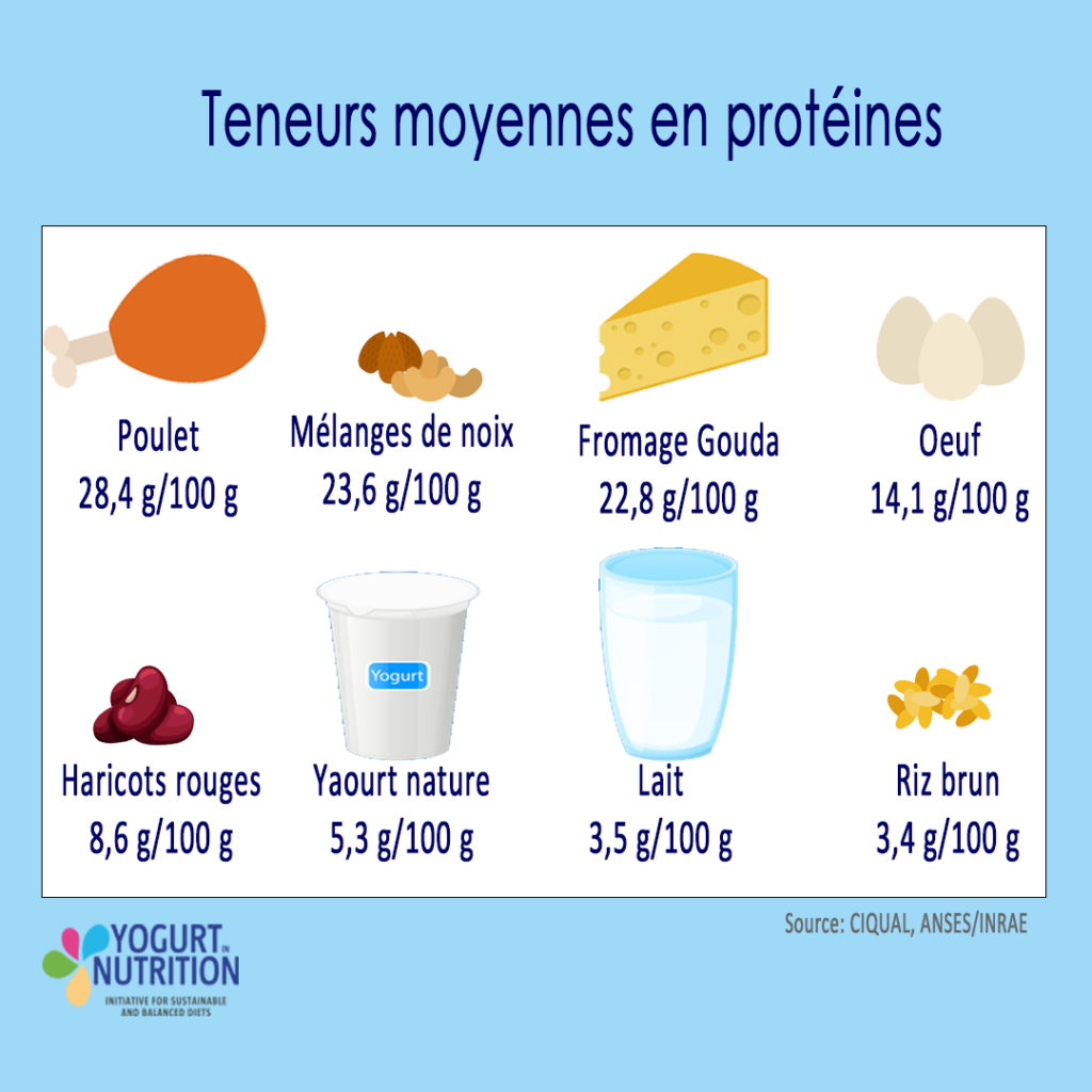 Apports alimentaires en protéines - YINI