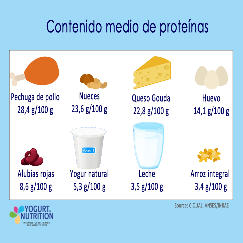 Contenido medode proteinas - YINI