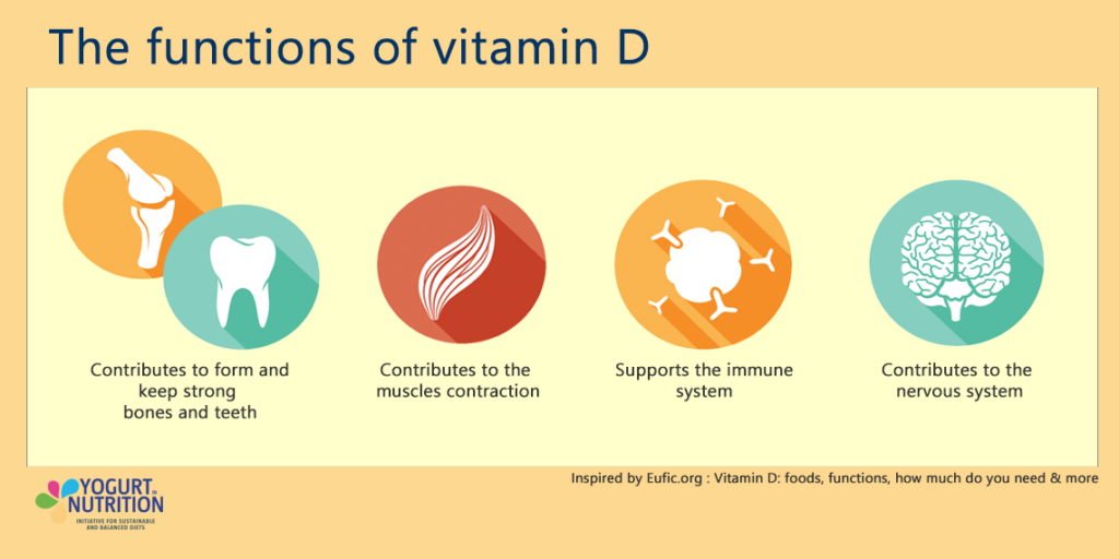 functions of vitamin D - YINI