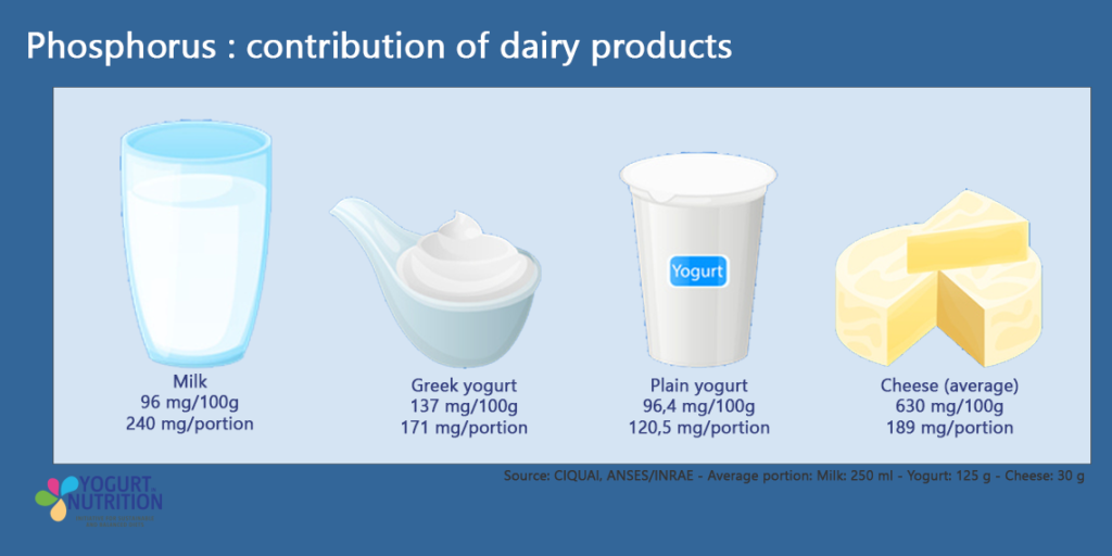 Phosphorus in dairy - YINI