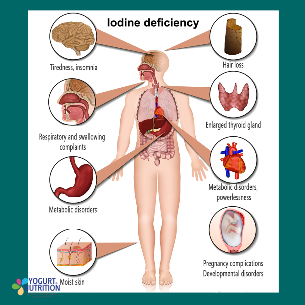 Functions of Iodin - YINI