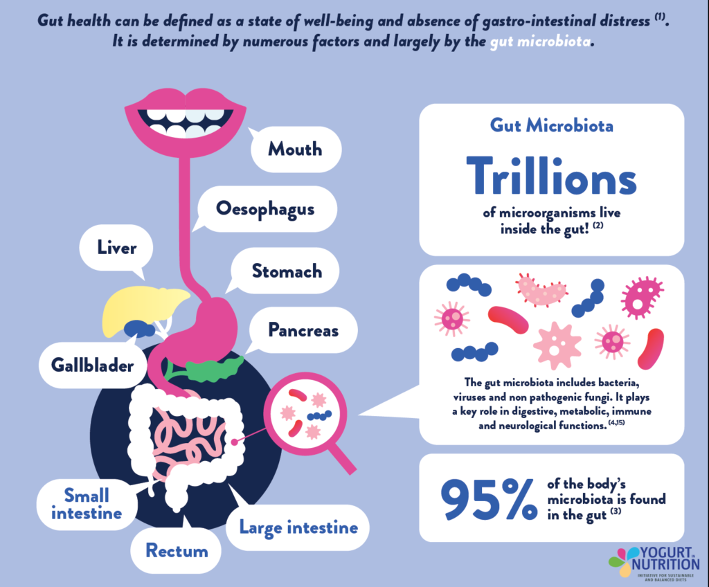 What is Gut microbiota - YINI