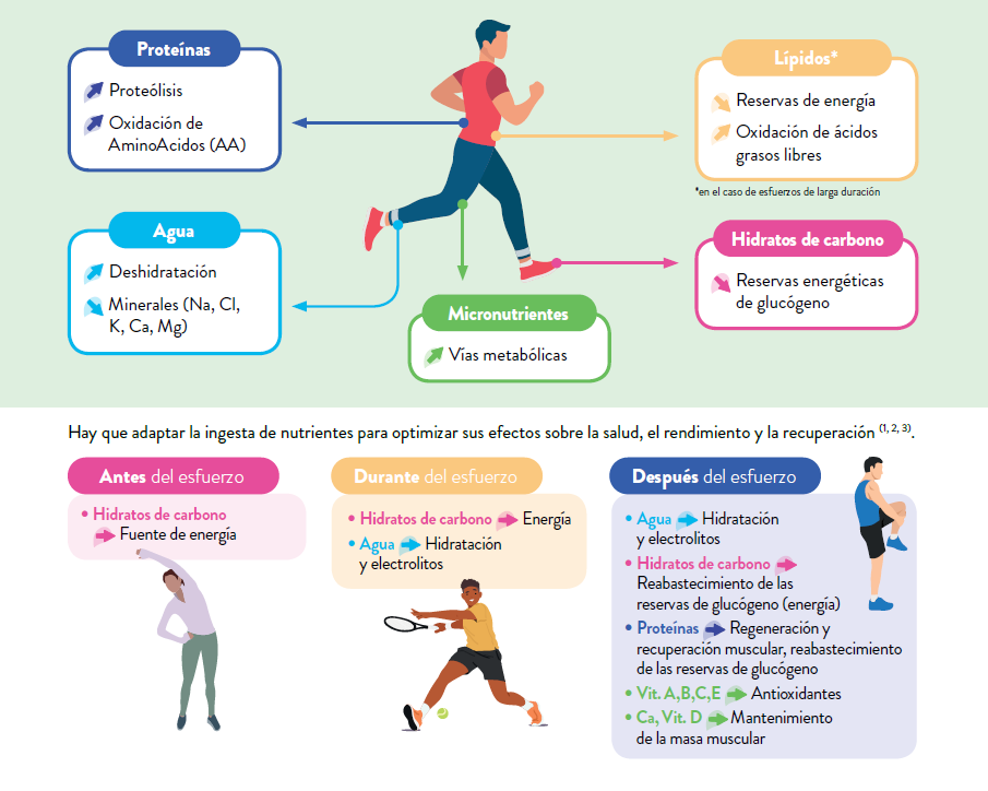 El yogur en la nutricion deportiva - part 2