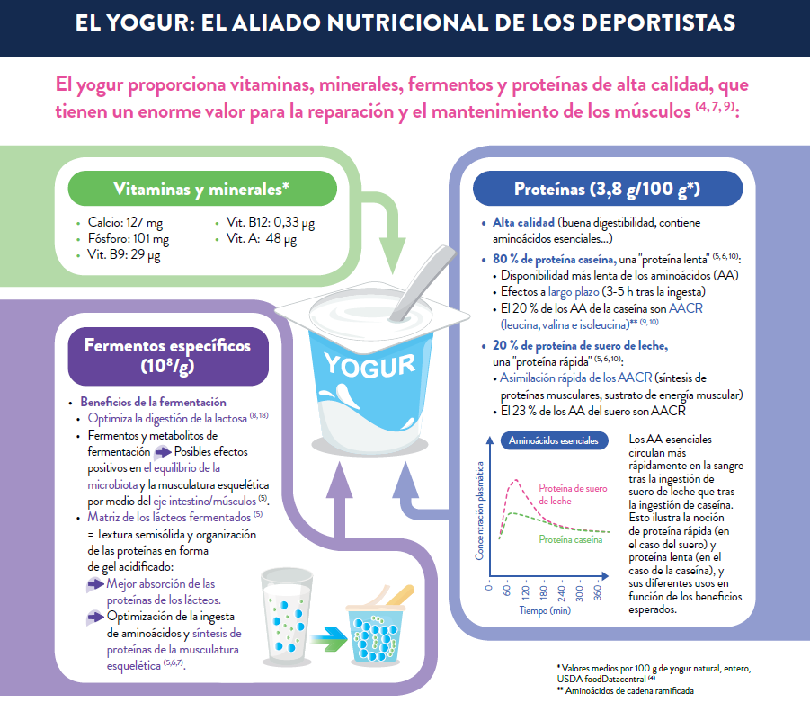 El yogur en la nutricion deportiva - part 3