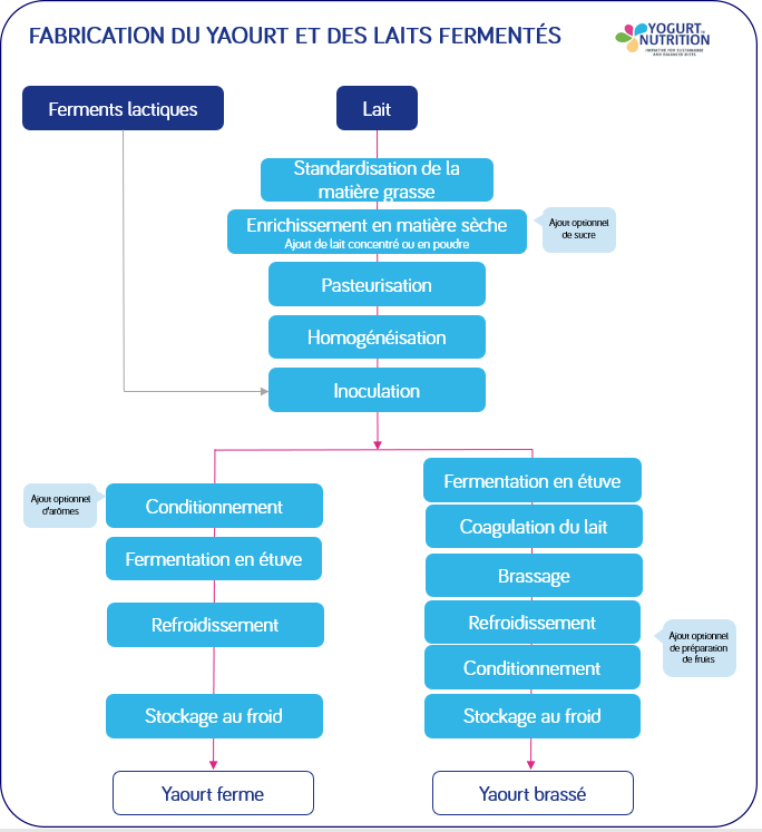 Comment le yaourt est fabriqué - YINI