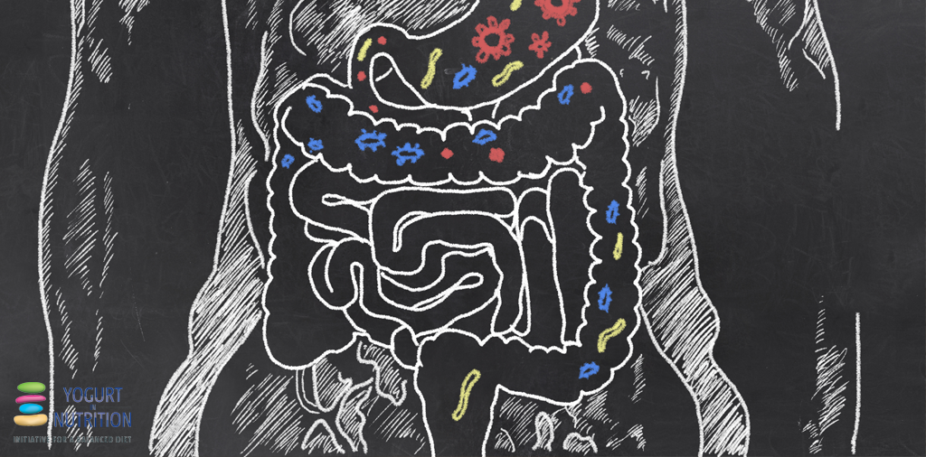 YINI - informations about gut microbiome