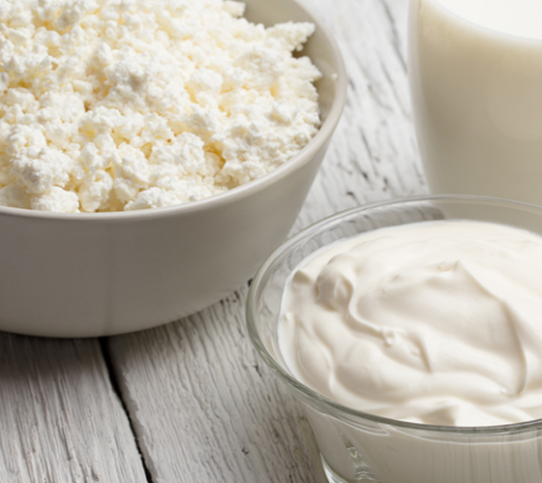 esearch reveals how whole-fat dairy foods may benefit our cardiometabolic health - YINI