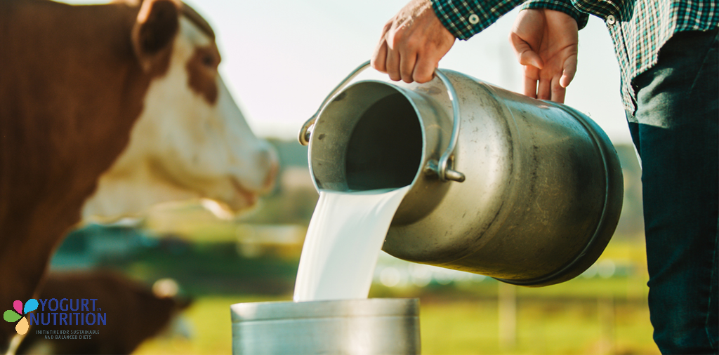 Improving dairy production for a sustainable future - YINI