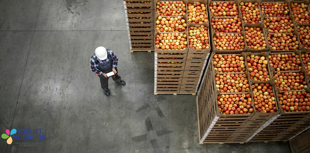 YINI - What are sustainable food systems?