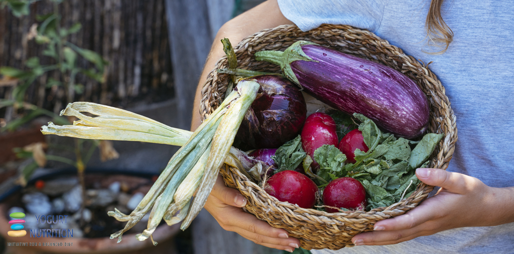 A radical shift to plant-based foods isn’t the solution to sustainability, expert says - YINI