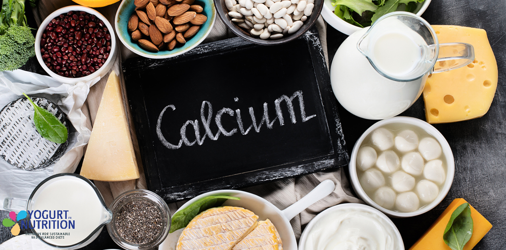 Focus on calcium - YINI